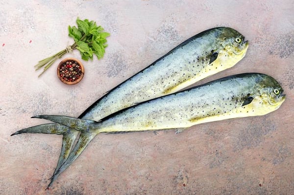 Mahi Mahi (Koppan)