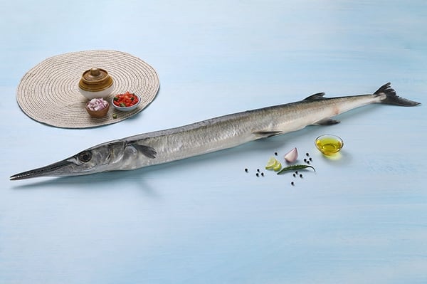 Needle Fish (Mural)