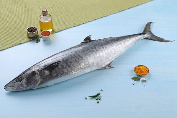 Vanjaram (Seer Fish)